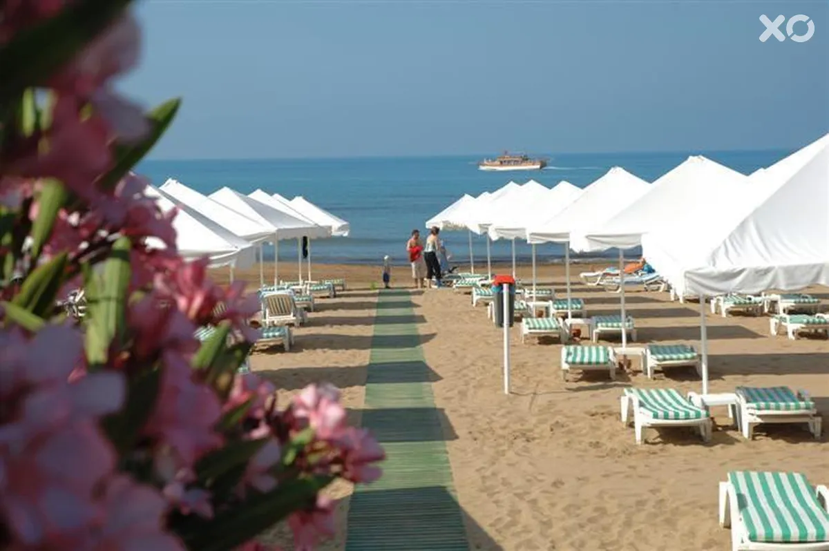 Barut Arum