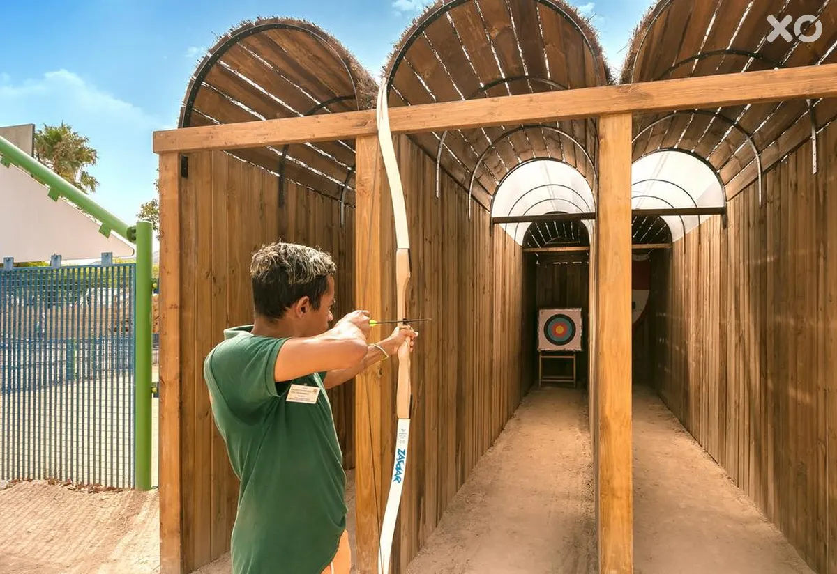 Magic Robin Hood