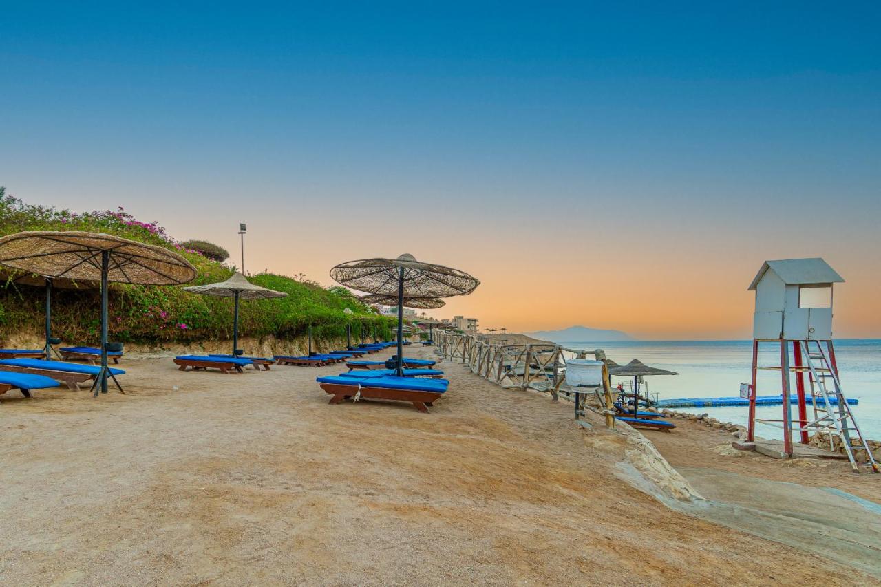 Siva Sharm Resort & Spa