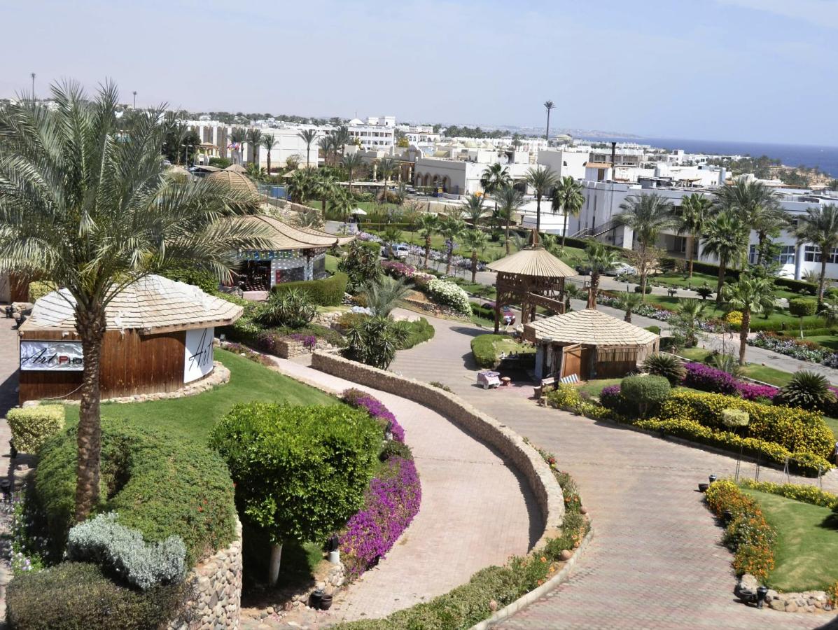 Queen Sharm Resort