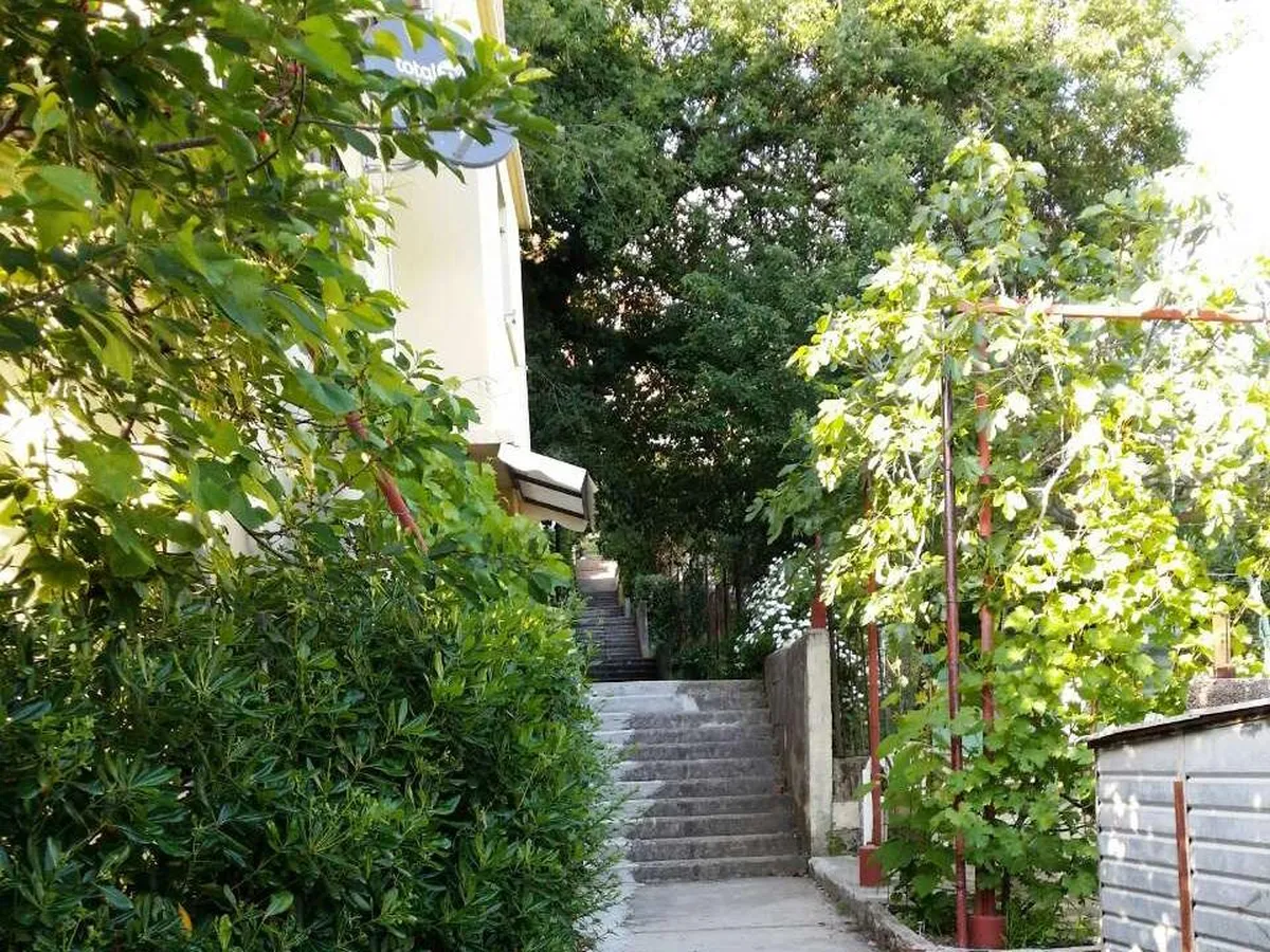 Rajko Apartment