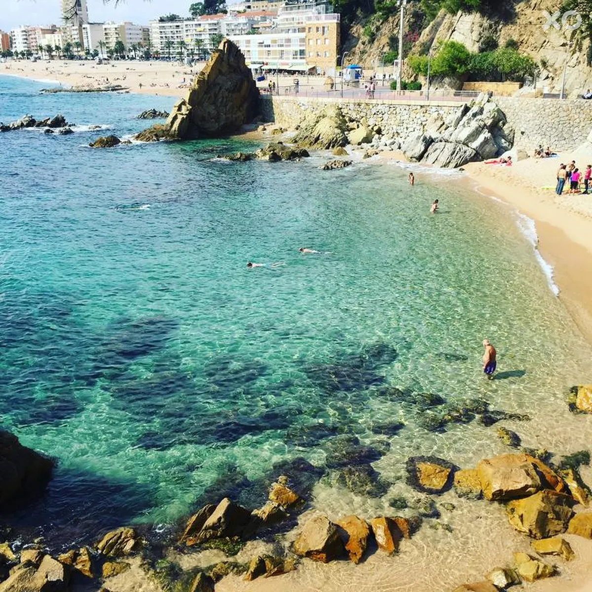 Alegria Fenals Mar
