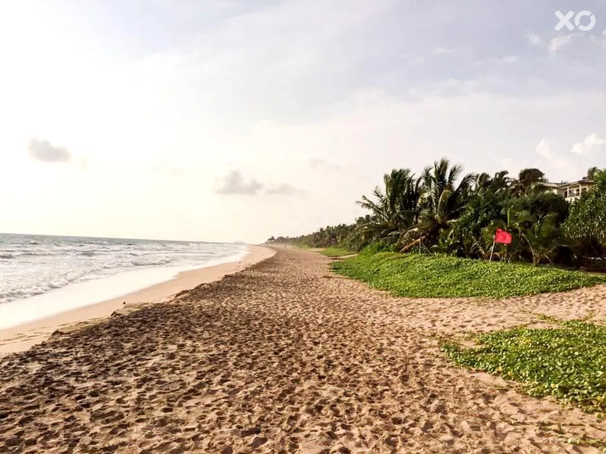 Temple Tree Resort & Spa