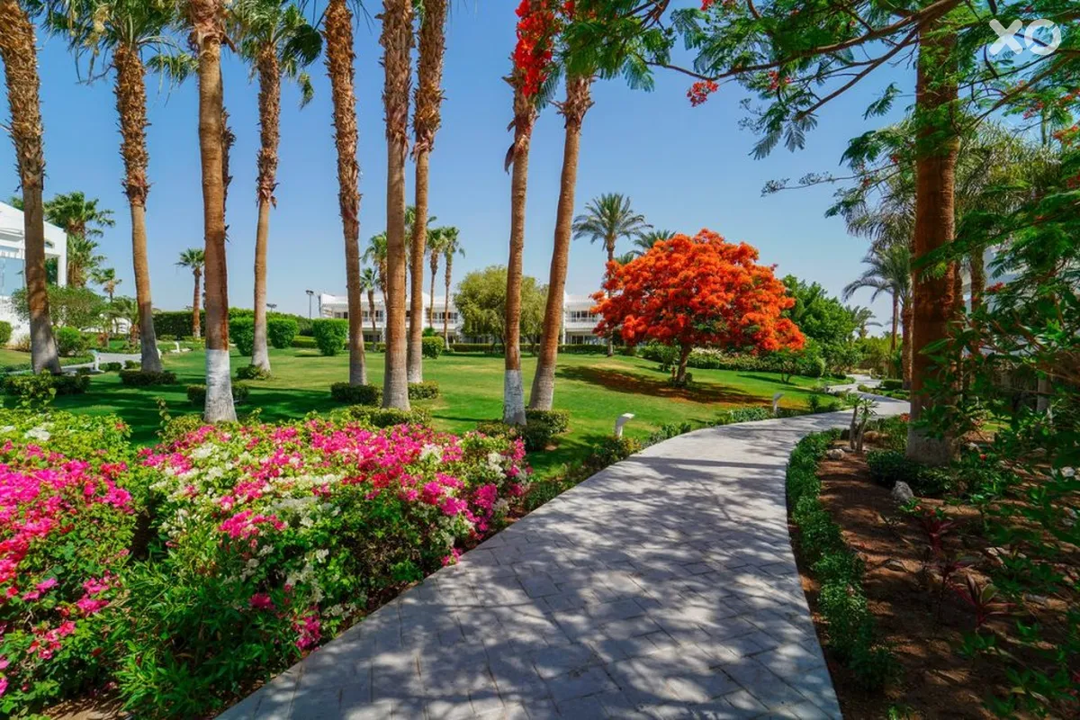 Monte Carlo Sharm Resort & Spa