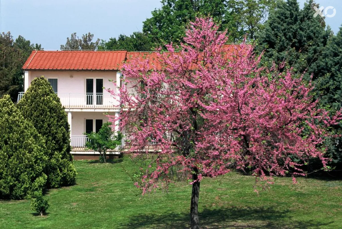 Ai Pini Resort