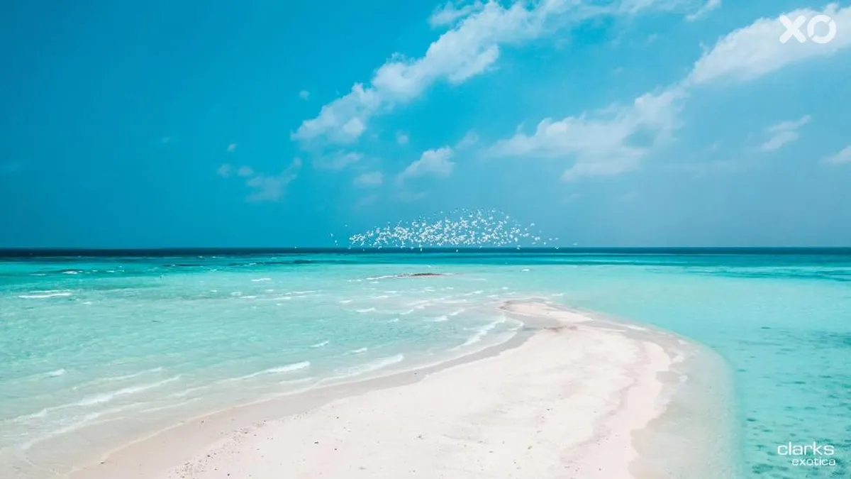Clarks Exotica, Kamadhoo Maldives
