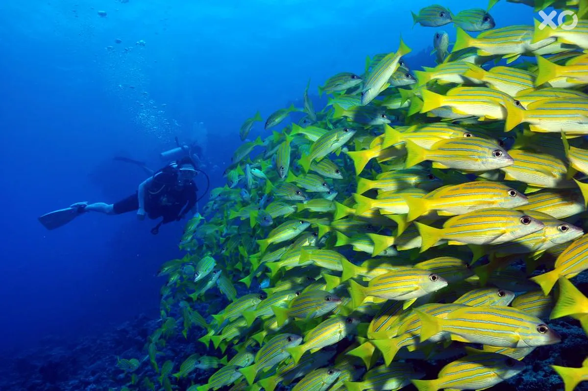 Dhigali Maldives