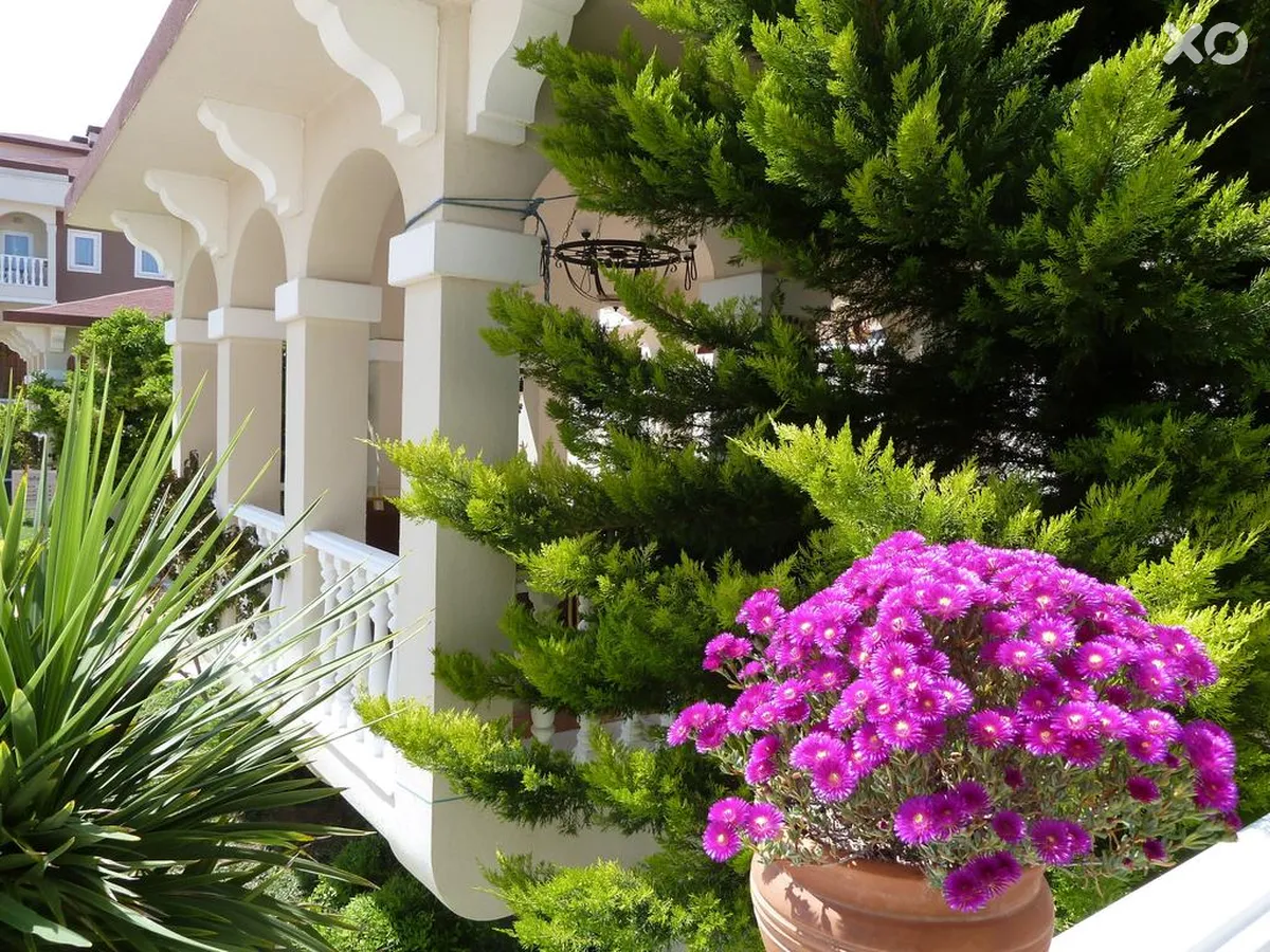 Viking Garden Hotel