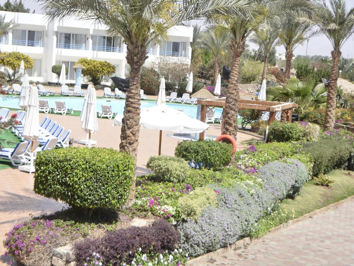Queen Sharm Resort