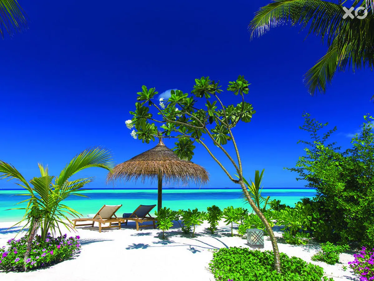 Ozen by Atmosphere at Maadhoo