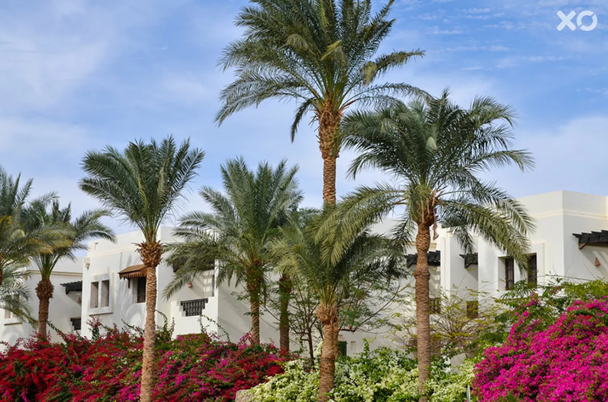 Sharm Plaza Hotel