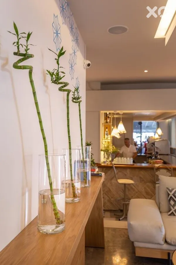 Cooee Albatros Hotel