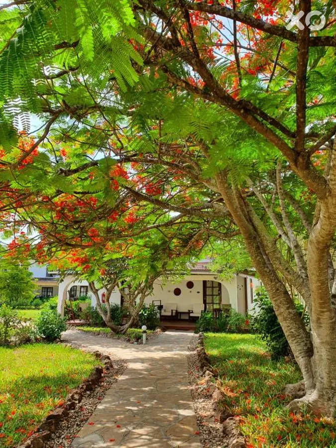 Flame Tree Cottages