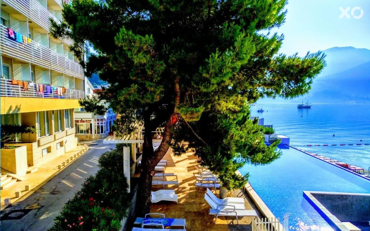 Carine Hotel Delfin