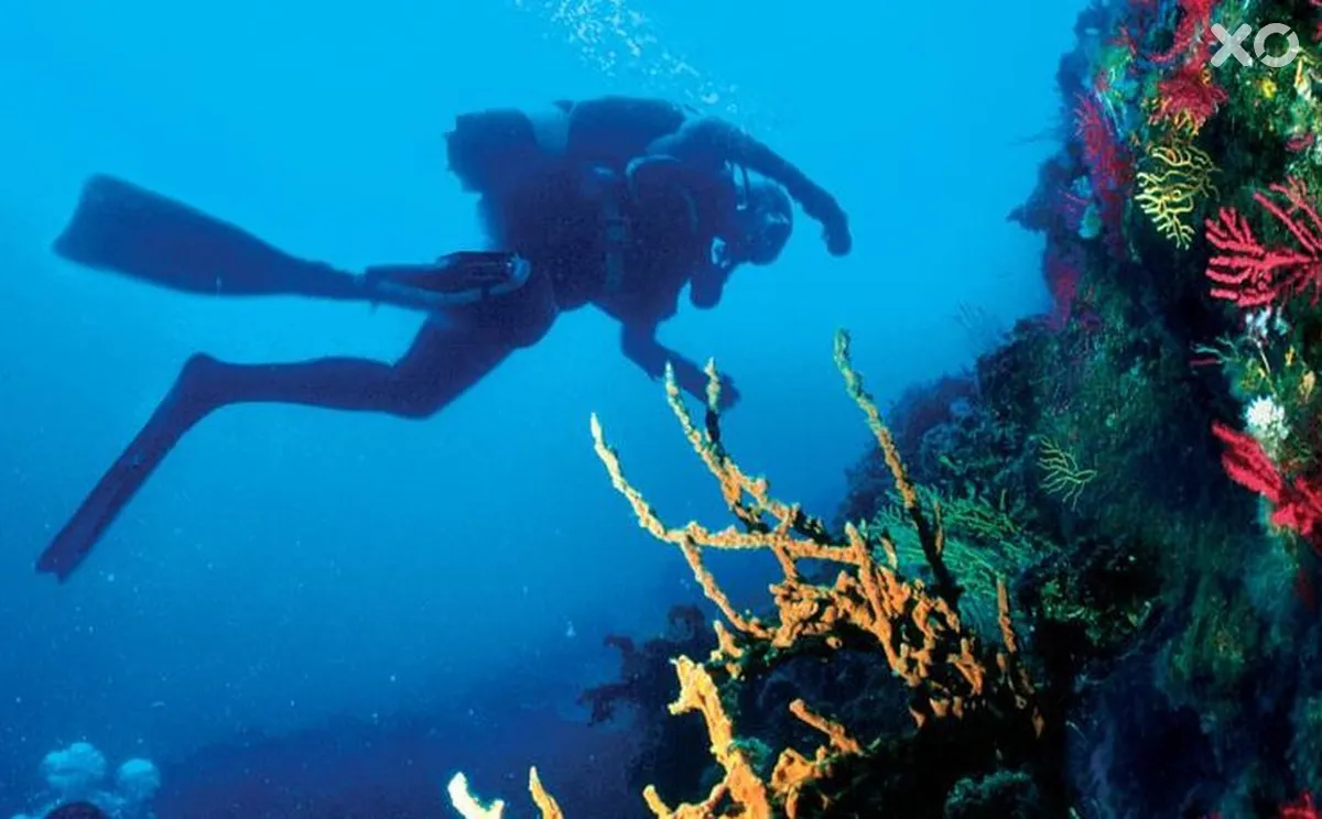 Domina Coral Bay Oasis
