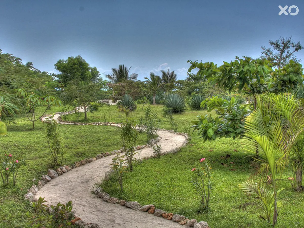 The Zanzibari Boutique Hotel