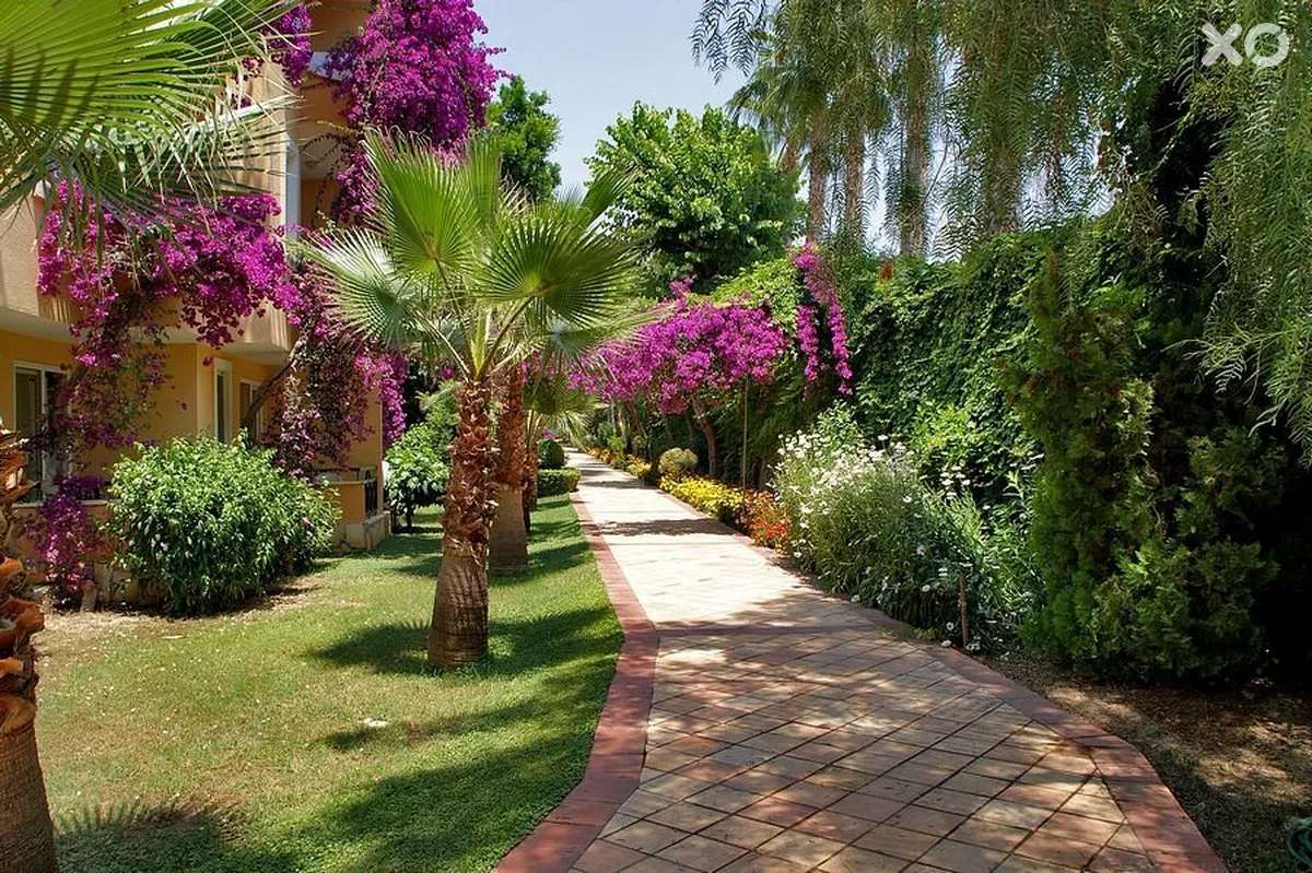 Dizalya Club Hotel