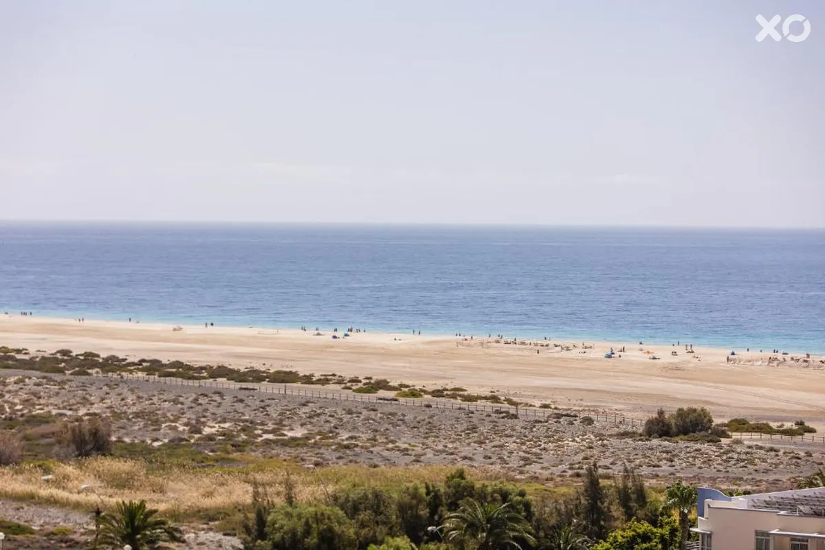 Alameda De Jandia