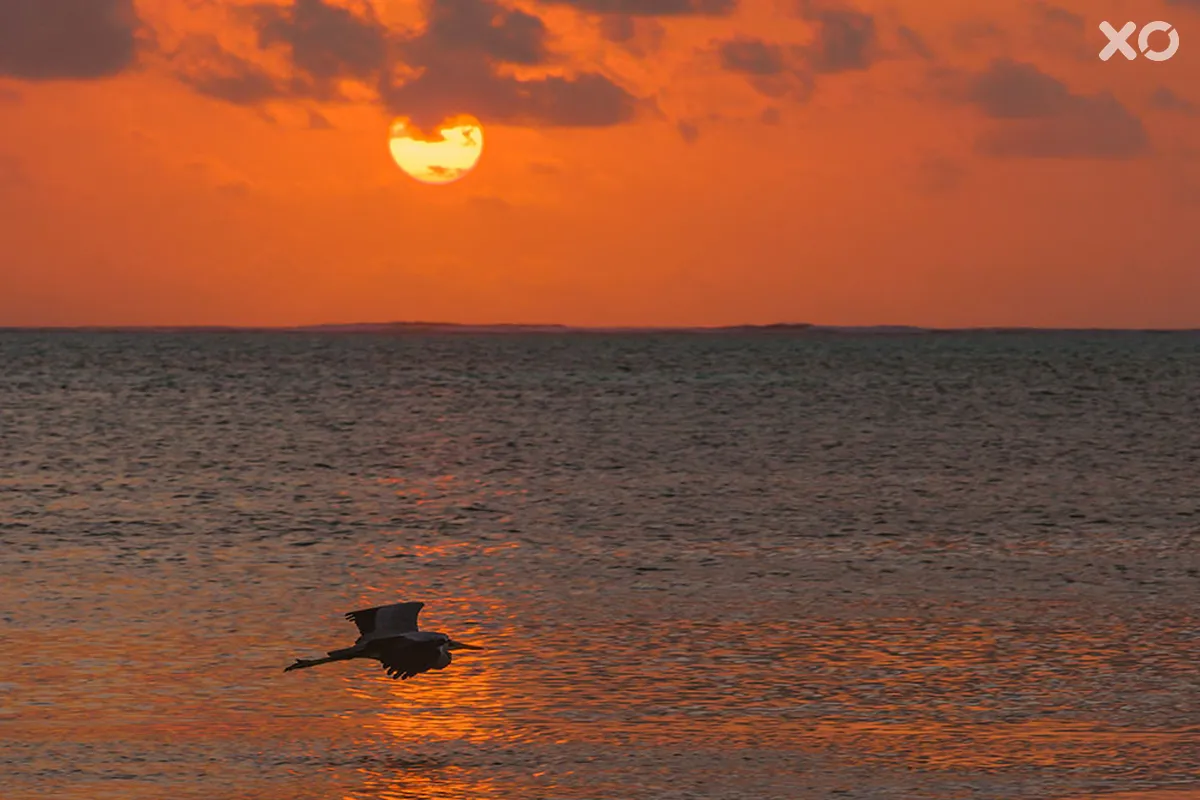 Hakuna Majiwe Beach Lodge Zanzibar