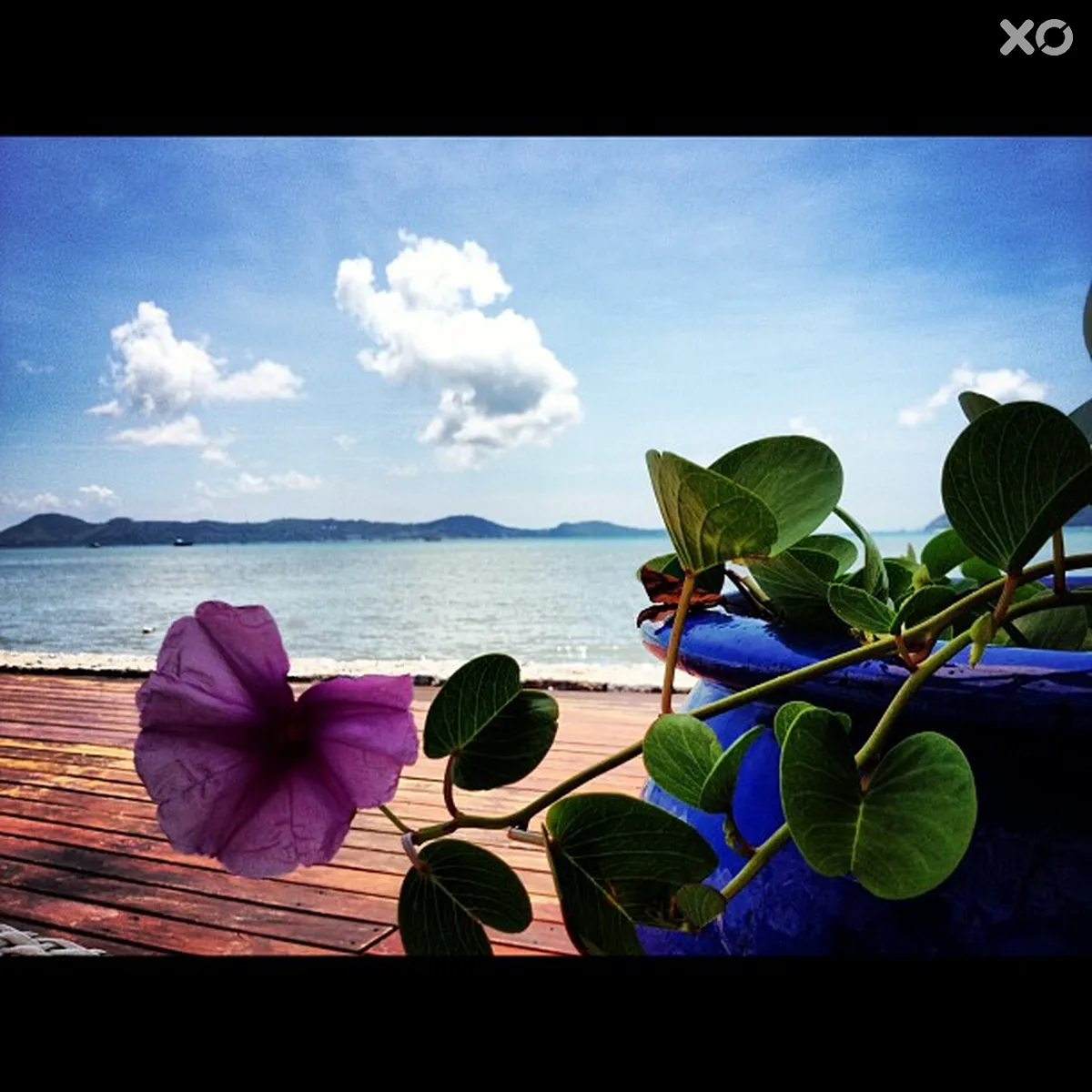Selina Serenity Rawai Phuket
