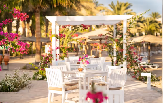 Fort Arabesque: преміум-естетика та сервіс, який зачаровує