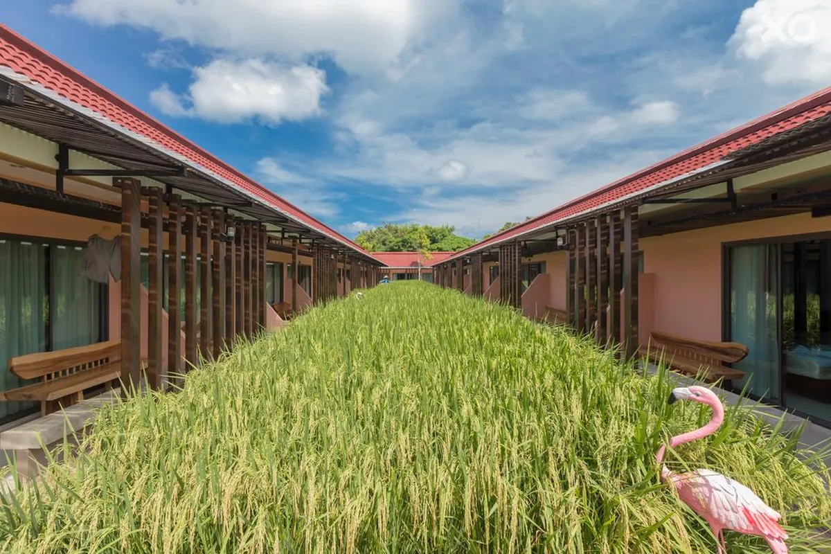 Naina Resort & Spa