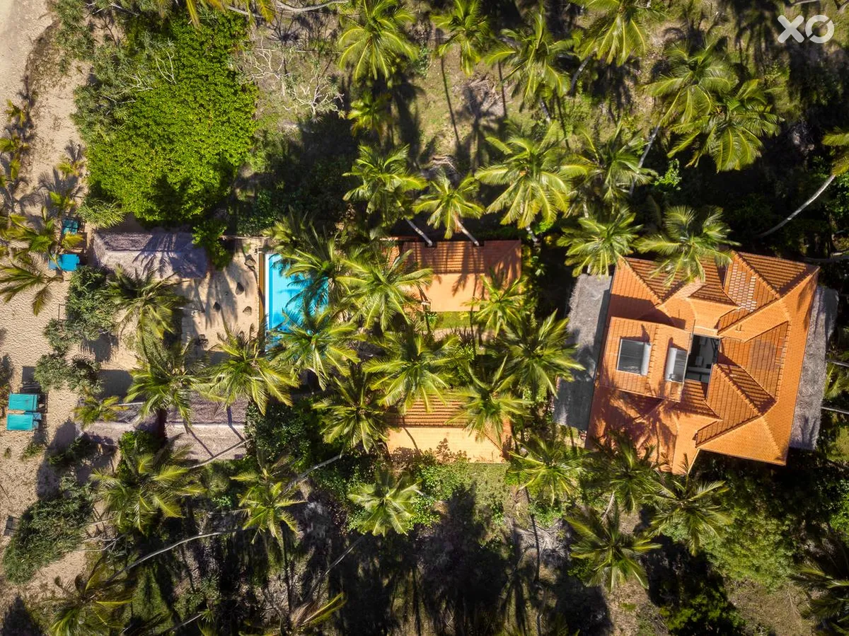 Seven Turtles