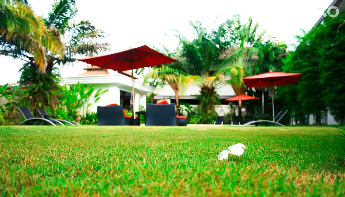Palm Grove Resort