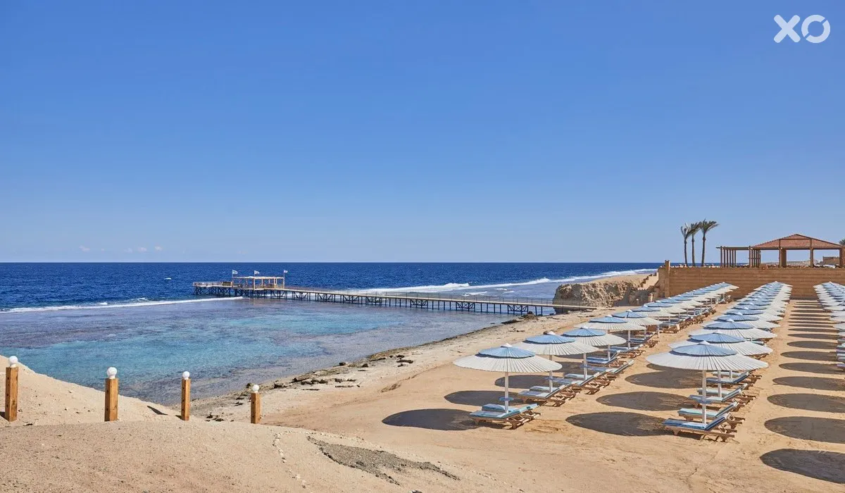 Solymar Reef Marsa
