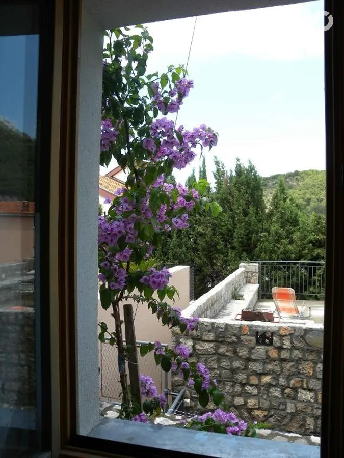 Markovic Sutomore Apartments