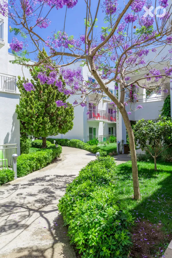 Armonia Holiday Village & Spa