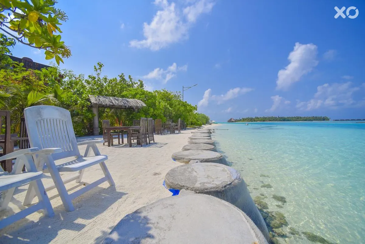 Rashu Hiyaa