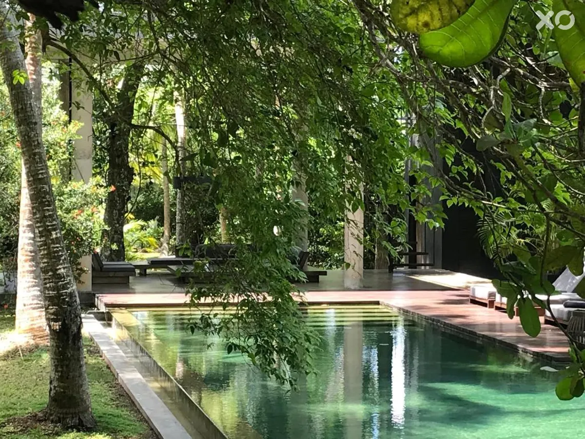 Kaju Green