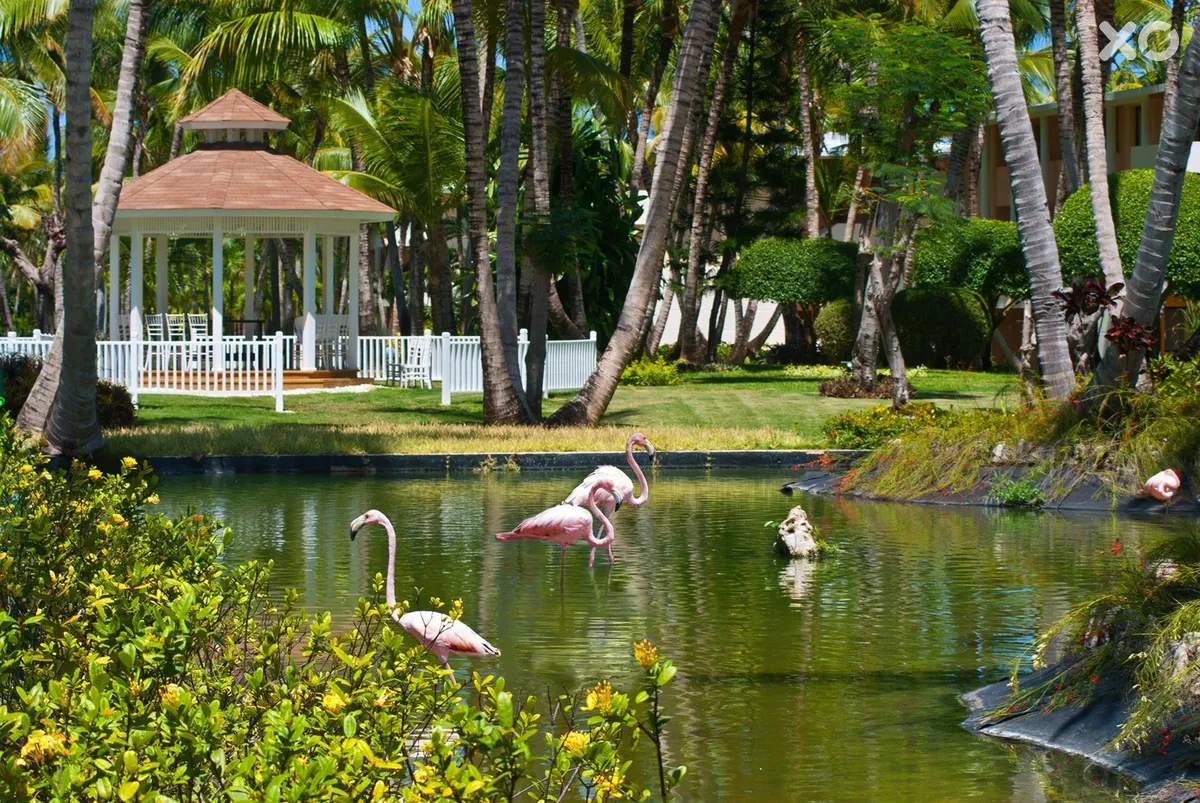 Catalonia Bavaro Beach