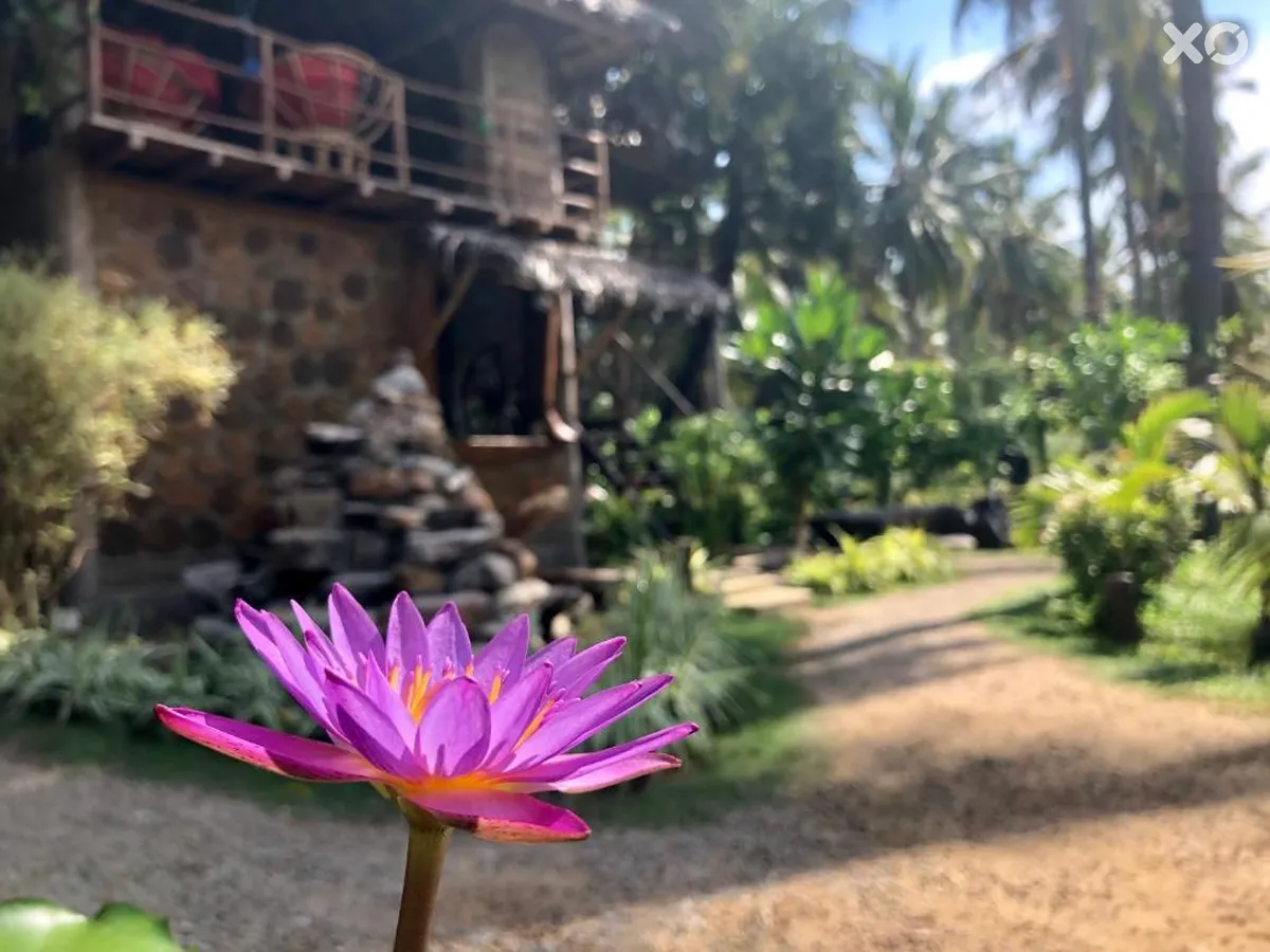 Wind Blend Kite & Yoga Eco Resort