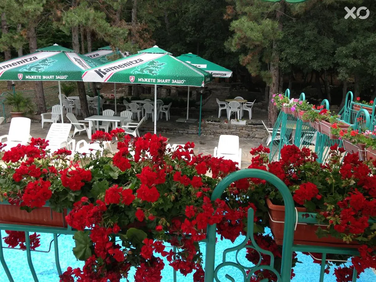 Zora Hotel