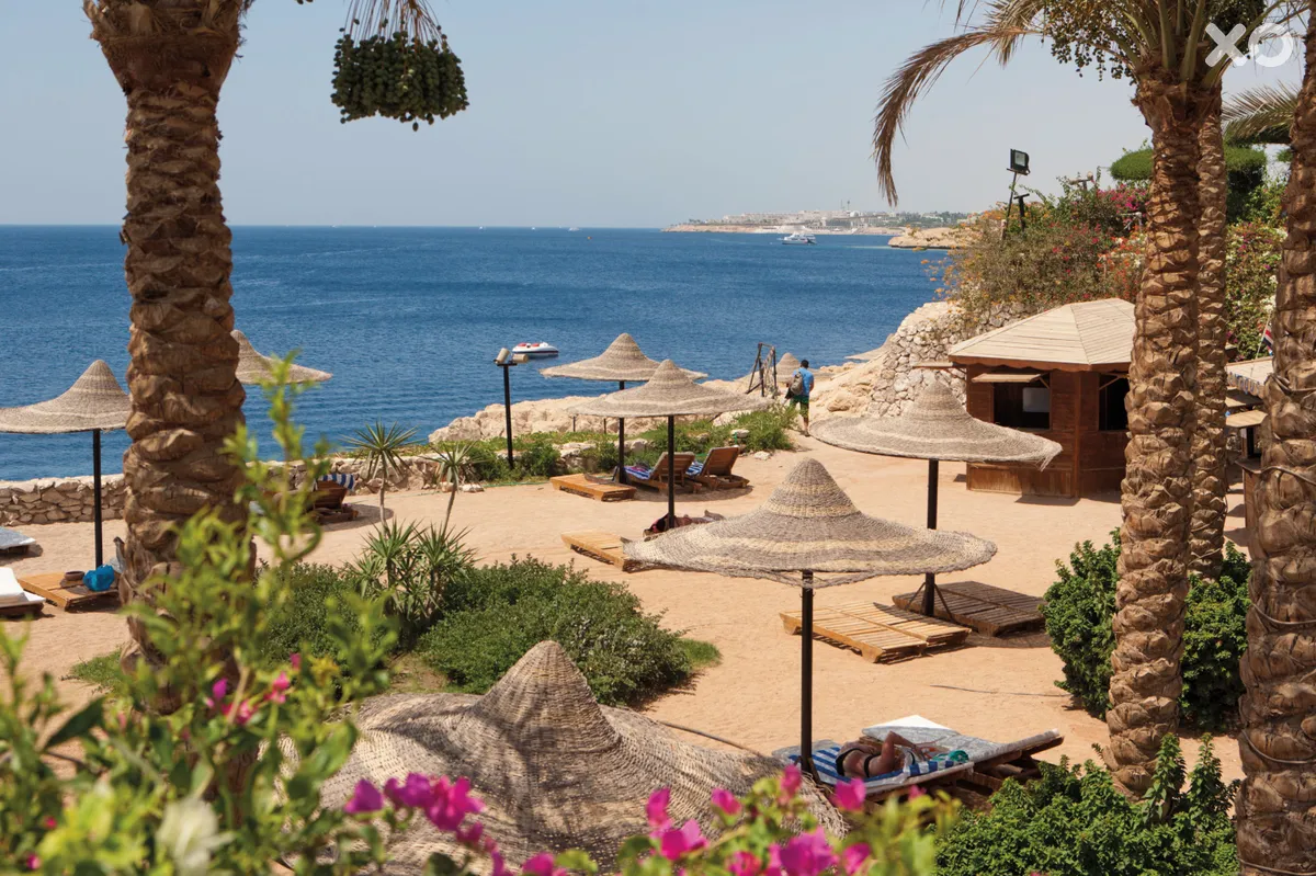 Siva Sharm Resort & Spa