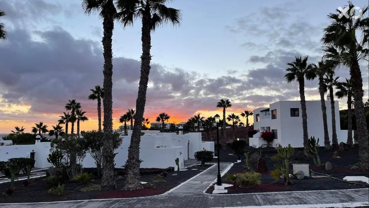 Palmeras Garden