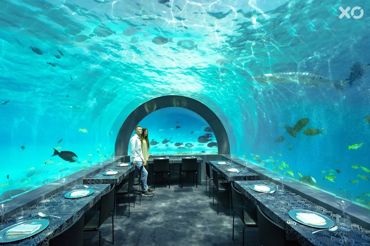 You & Me by Cocoon Maldives