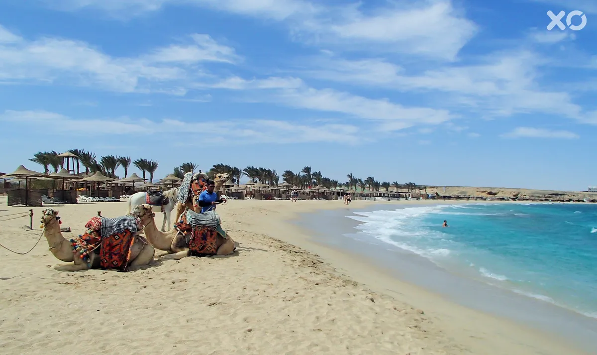 Malikia Resort Abu Dabbab