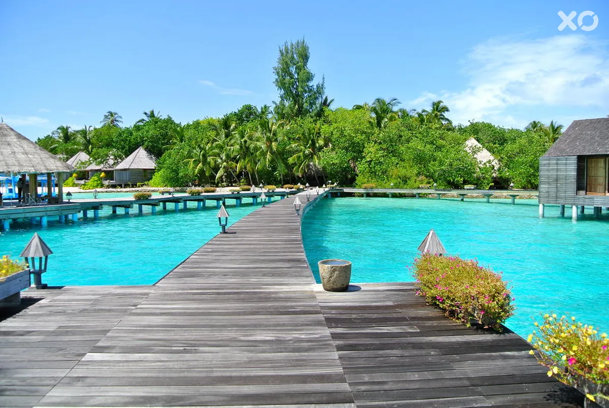 Gangehi Island Resort & Spa