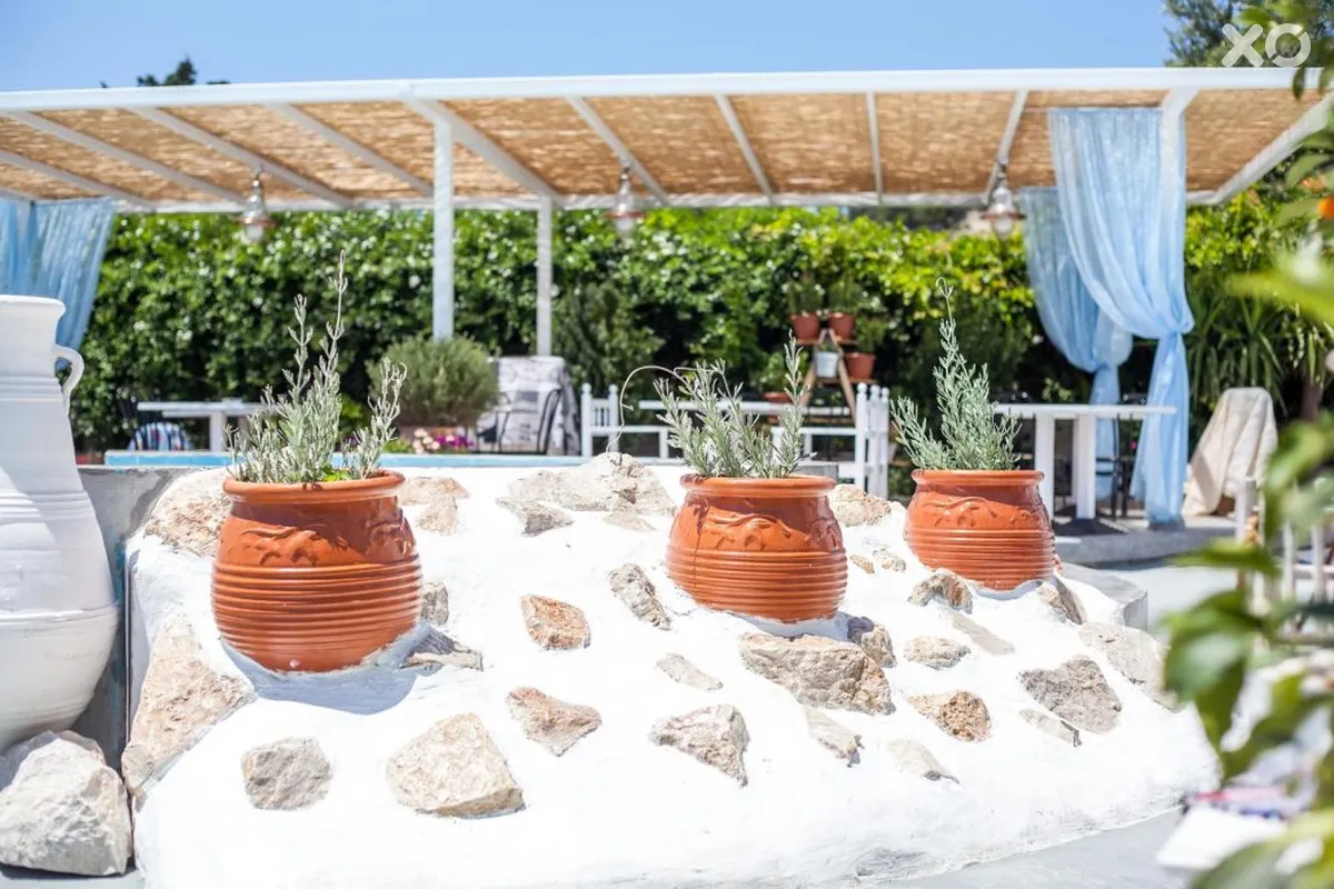 Tinas Plus Hotel