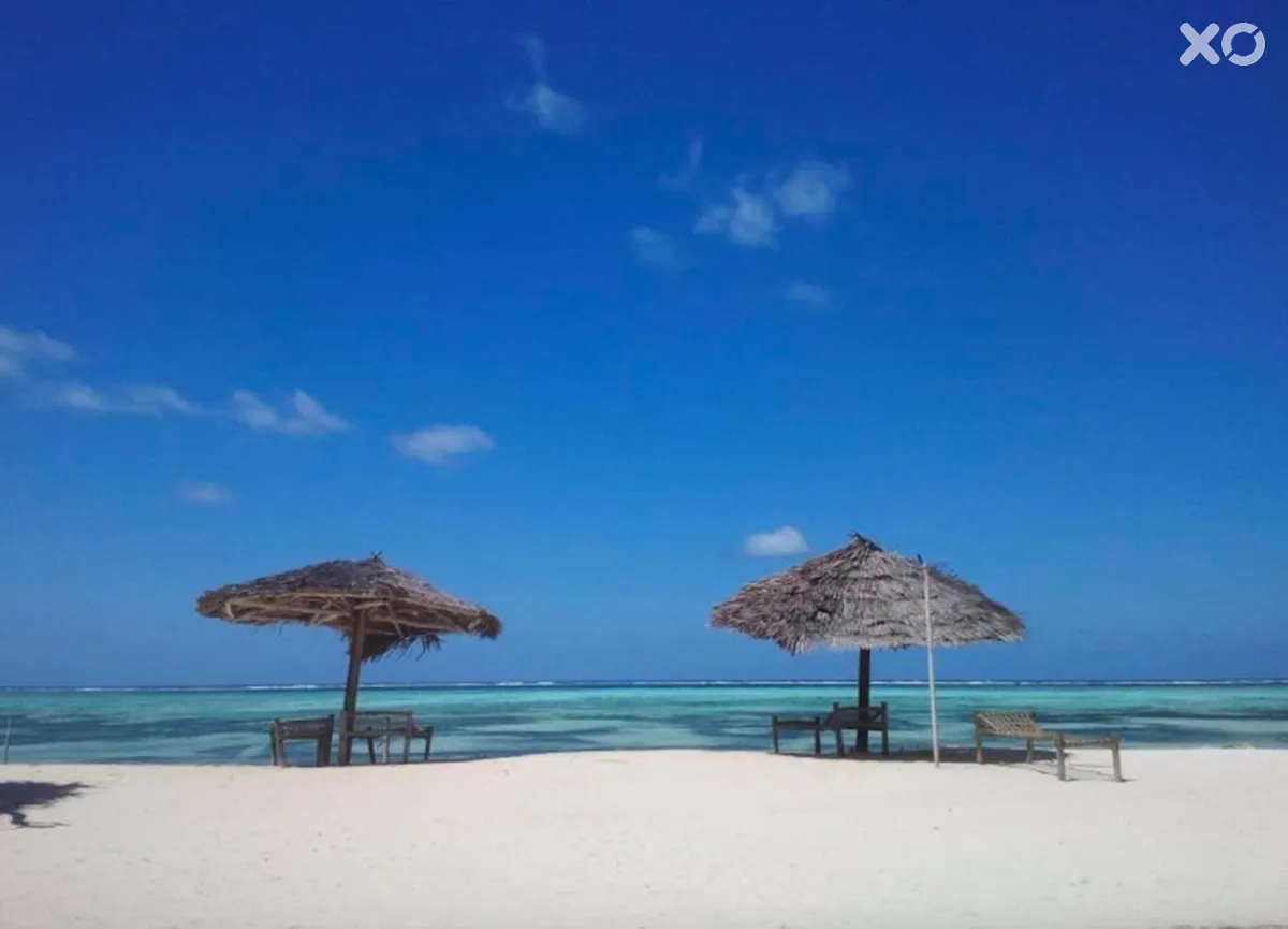 Nest Style Zanzibar