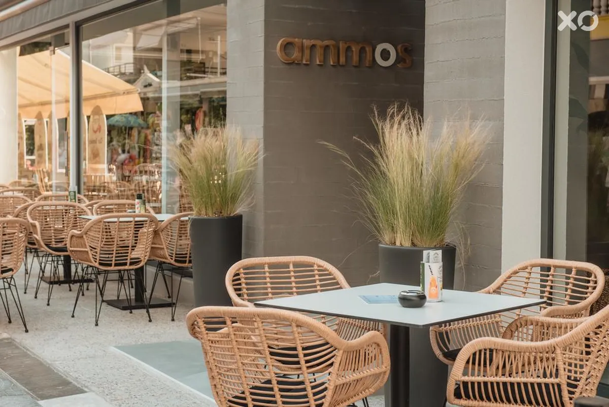 Ammos Beach Studios & Suites