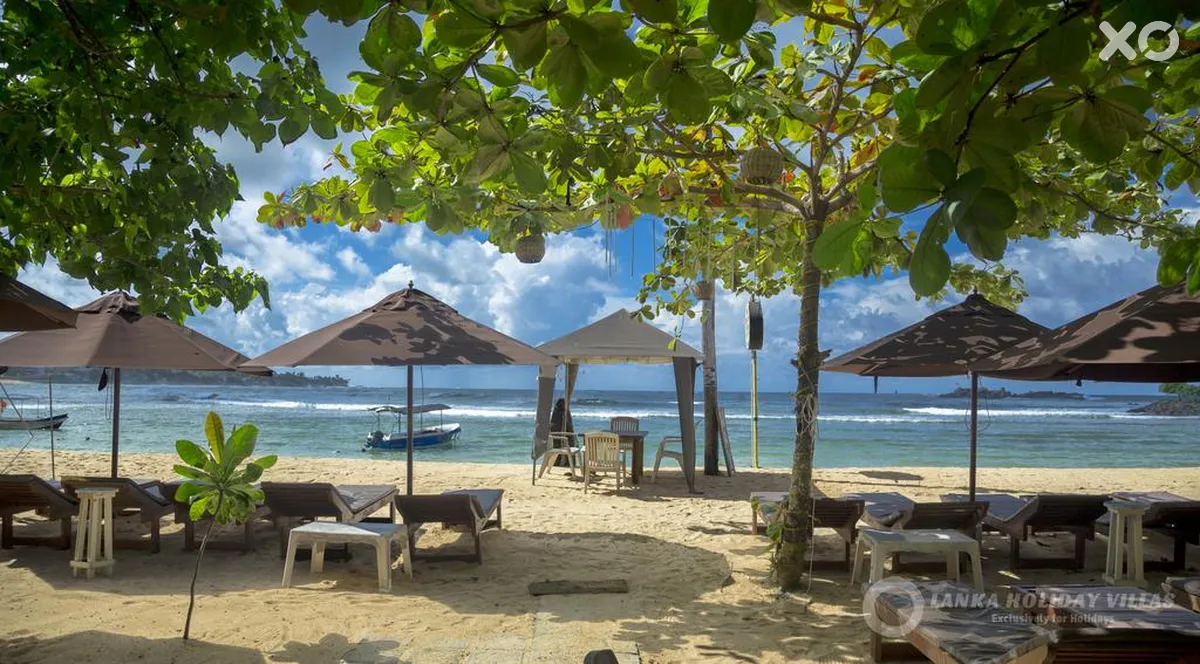 Wave Beach Resort