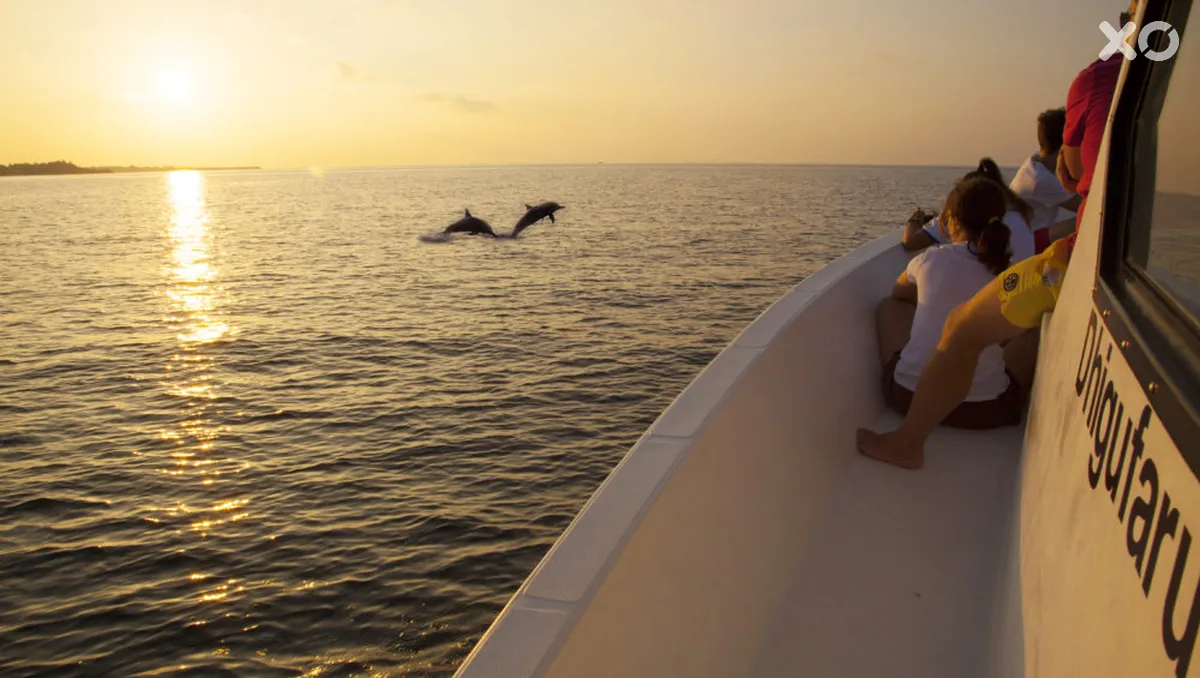 Dhigufaru Island Resort