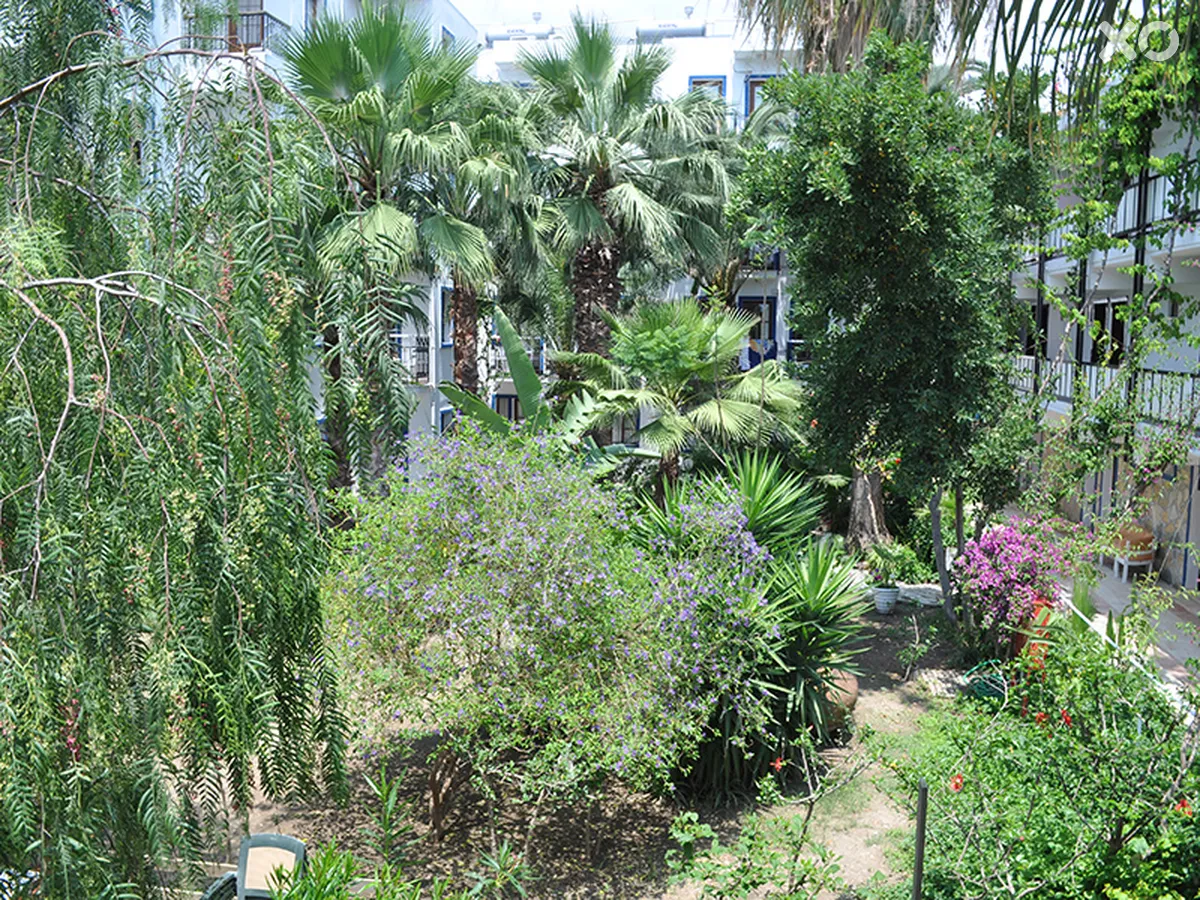 Sami Beach Hotel