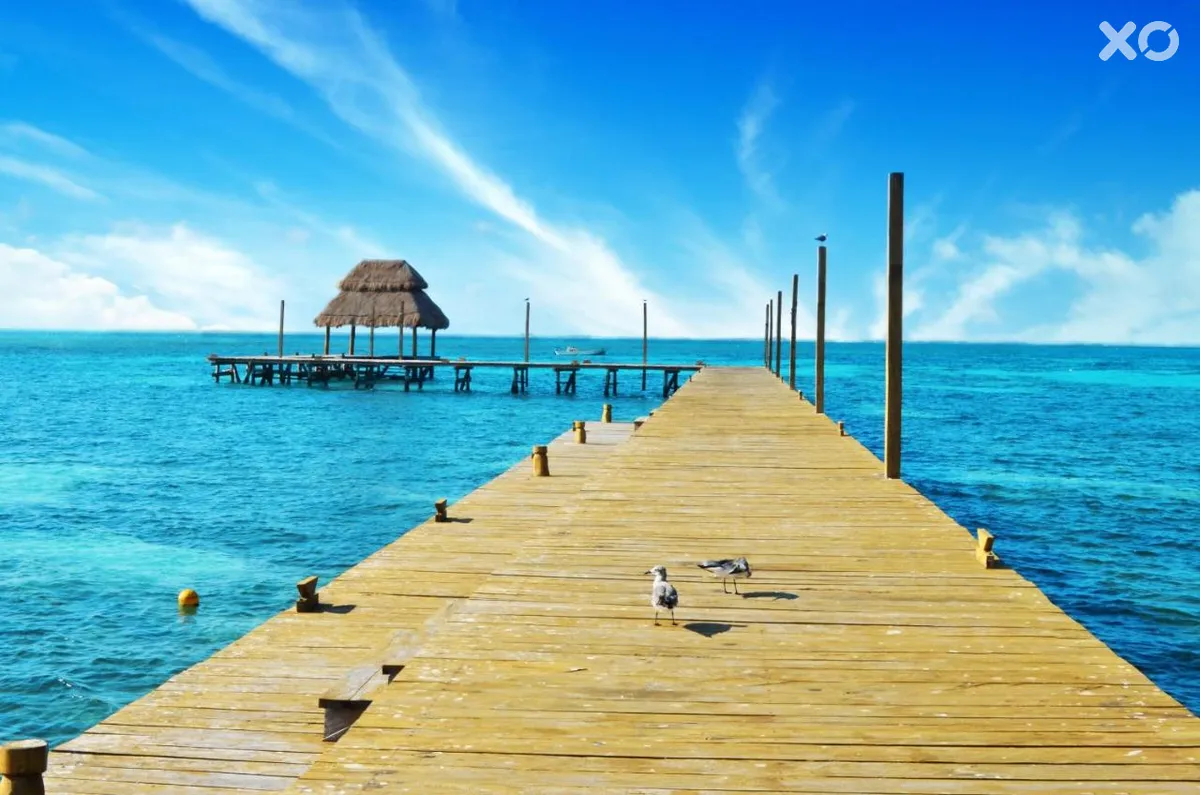Mia Reef Isla Mujeres Cancun