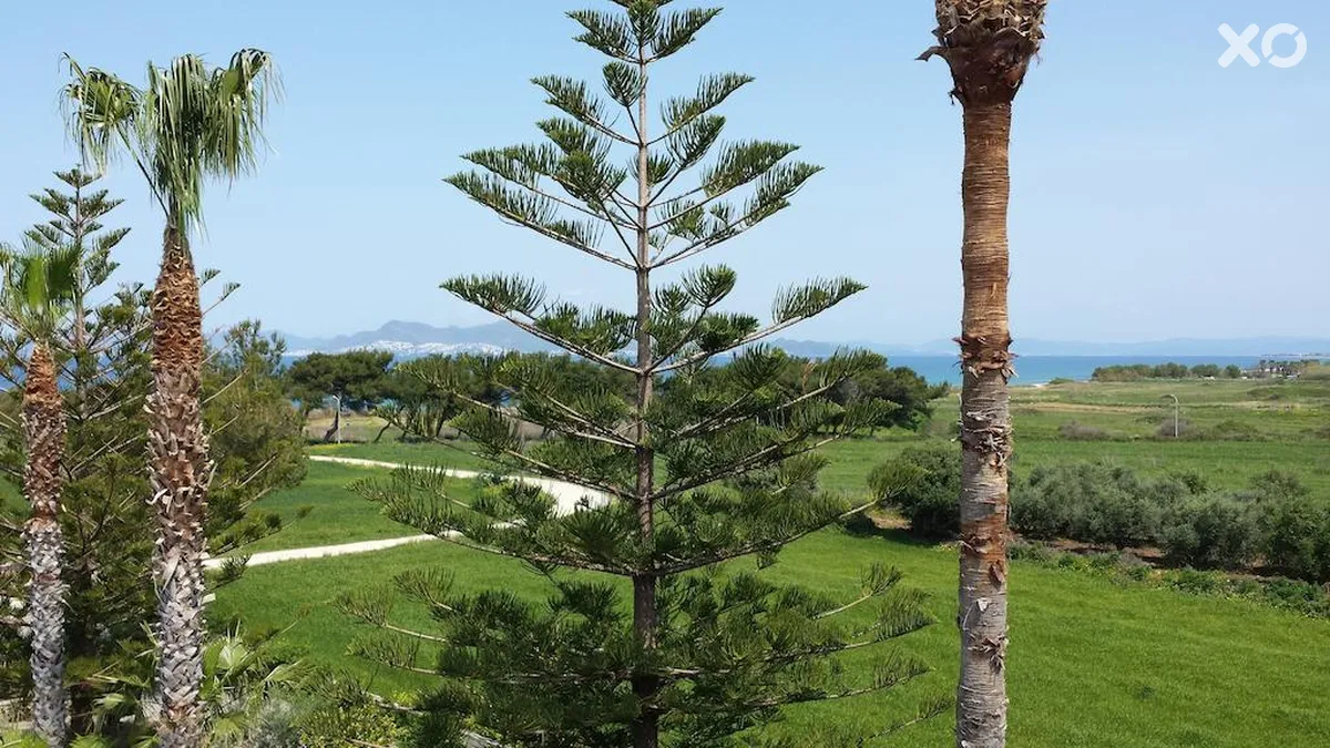 Blue Nest Hotel