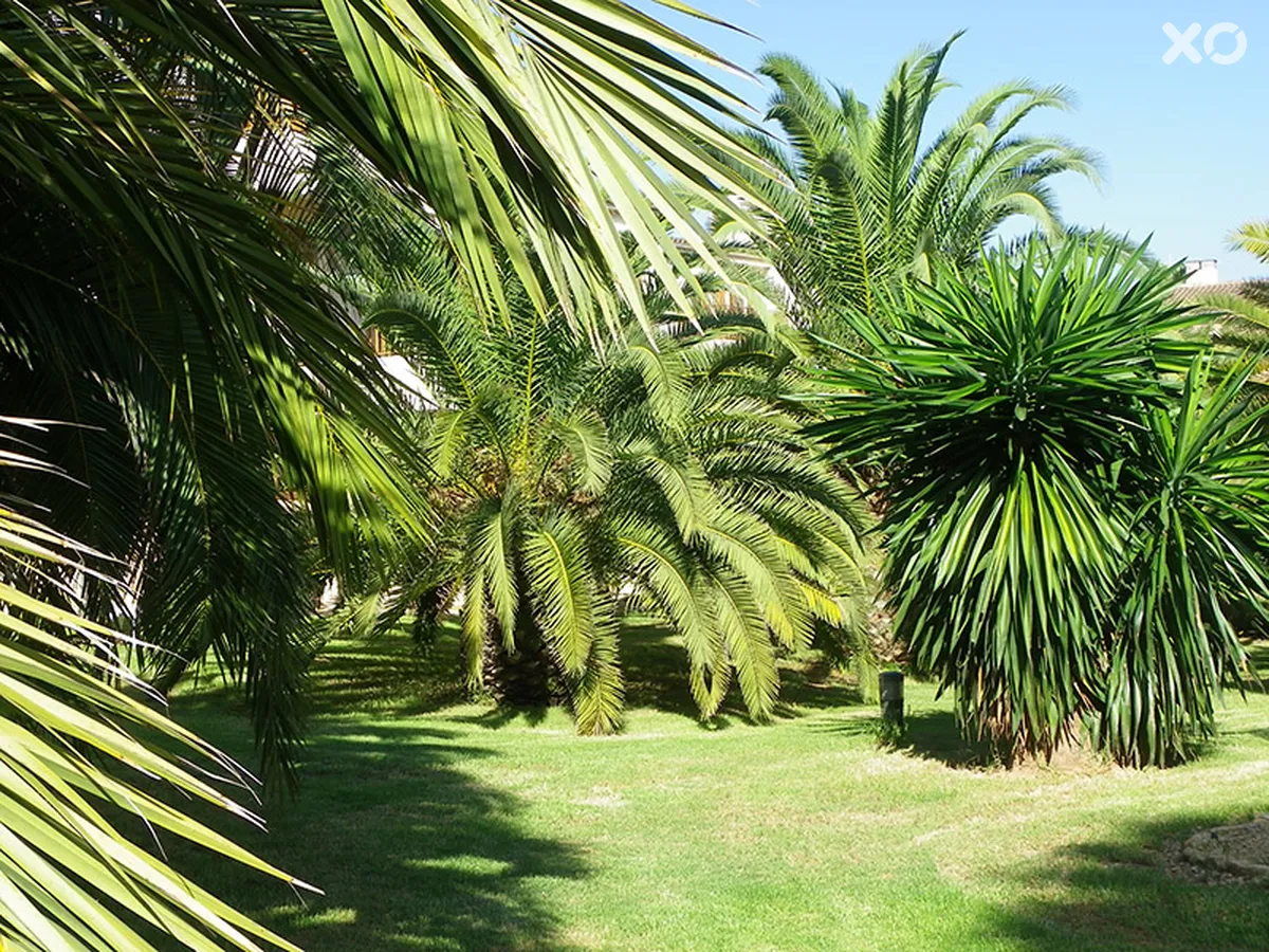 Albir Garden Resort